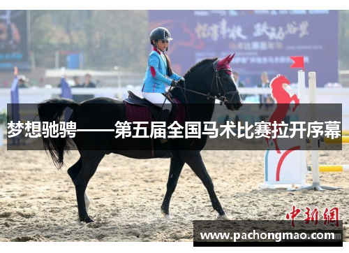 梦想驰骋——第五届全国马术比赛拉开序幕