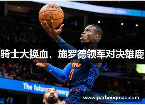 骑士大换血，施罗德领军对决雄鹿